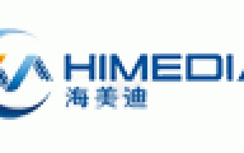 海美迪HIMEDIA-深圳市海美迪科技有限公司