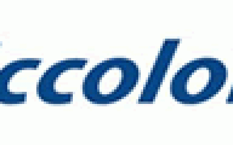 芯彩Iccolor-矽彩科技（北京）有限公司