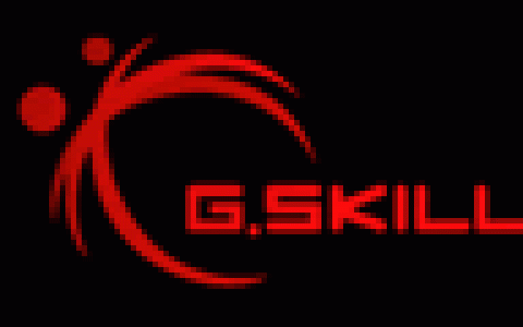芝奇G.skill-芝奇国际实业股份有限公司