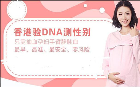 香港dna验血查男女，如何选择验血靠谱合作商家