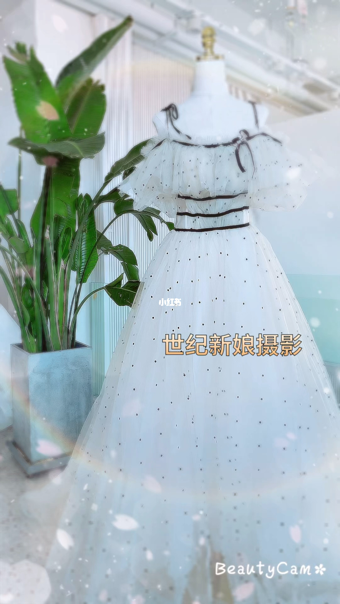 台湾婚纱礼服品牌_儿童礼服婚纱_qq空间大图素材黑色礼服白色婚纱