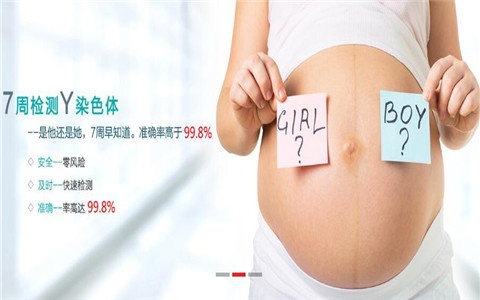 香港滴血验性别，为什么准确率这么高