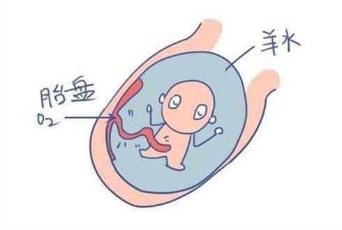 香港验血时代检测中心_验血查性别是不是真的很准？