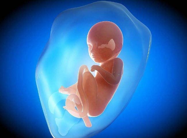 怀孕7周香港抽血验性别多少钱超全超详细
