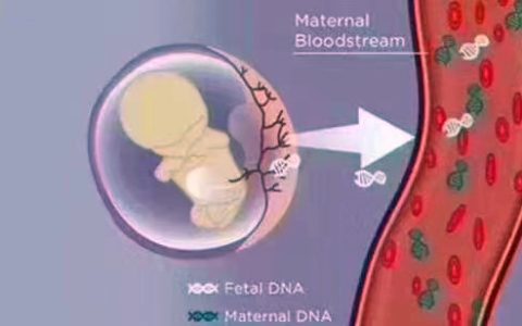 香港DNA检测男孩女孩需要什么条件—您和您家人健康状况的最佳选择
