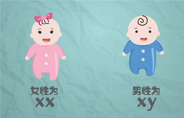 香港怀孕初期查性别,查生男女准确率有多高靠不靠谱!