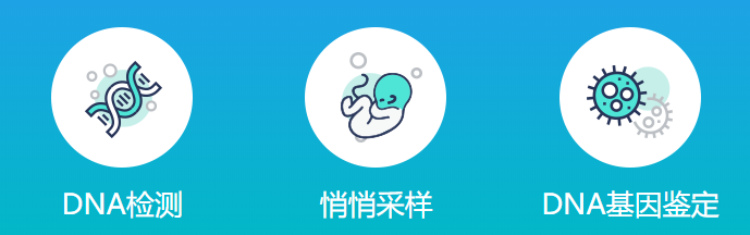 香港dna直通车app_dna胎儿详细流程是什么?