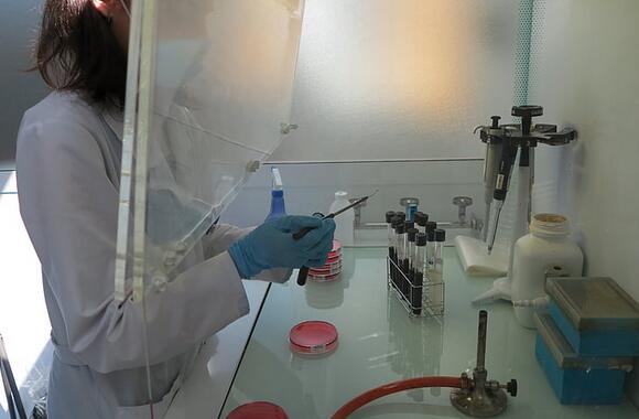 香港验血有y染色体是_哪家专业DNA检测化验机构最准？
